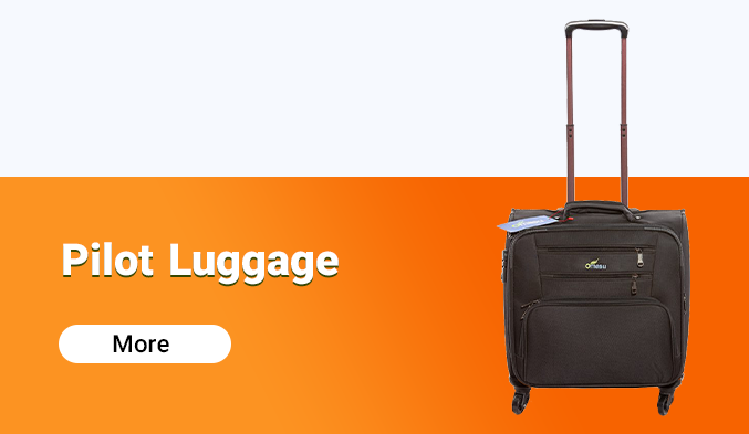 Pilot luggage